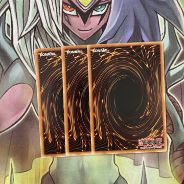 DOCS-EN009 x3 Fluffal Wings Common Excellent Condition Yugioh (back)