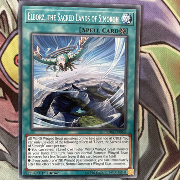 RIRA-EN060 Elborz, The Sacred Lands Of Simorgh Common 1st Edition NM Yugioh Card