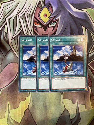 SDFC-EN032 x3 Salvage Common Excellent Condition Yugioh