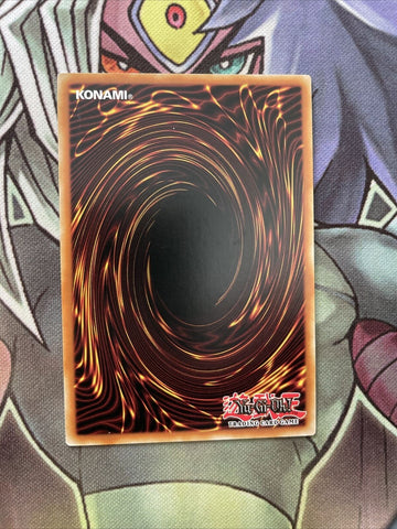 YS17-EN002 Draconnet Common 1st Edition NM Yugioh Card (back)