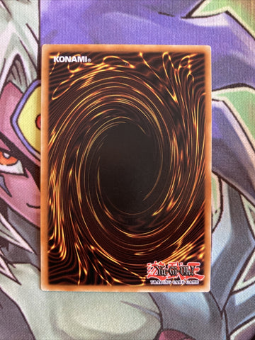 RP02-EN079 Necrovalley Rare Unl Edition NM Yugioh Card (back)