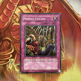 DB2-EN242 YUGIOH NEEDLE CELING COMMON played