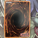 CBLZ-EN024 Brotherhood Of The Fire Fist - Bear Ultra Unl Edition NM Yugioh Card
