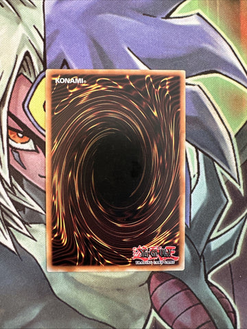 SDY-E004 Summoned Skull Common Unlimited Edition NM Yugioh Card (back)