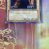 MRL-E022 Giant Turtle Who Feeds On Flames Yugioh