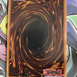 FLOD-EN045 Knightmare Cerberus Super Rare UNL  Edition NM Yugioh Card