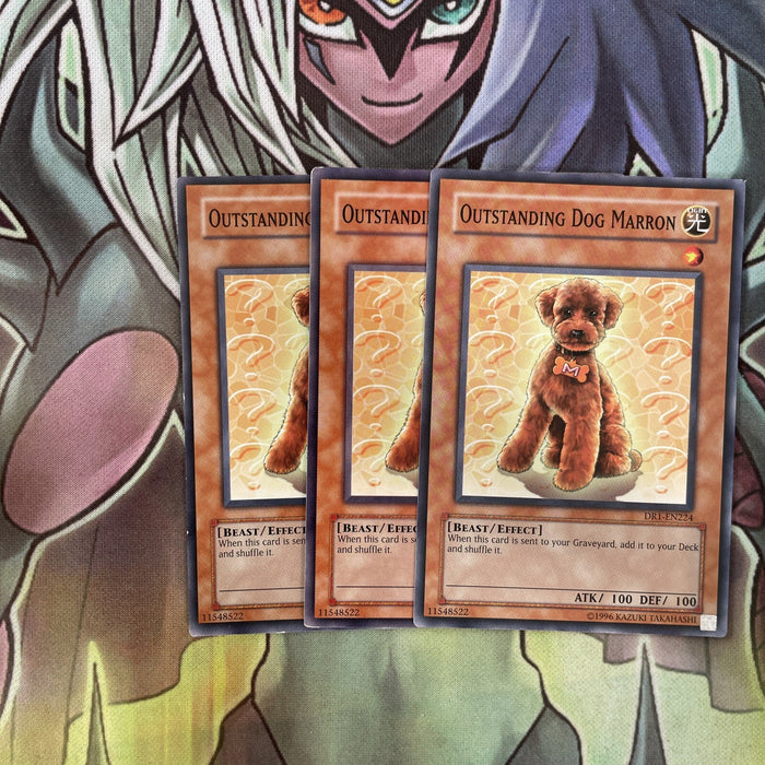 DR1-EN224 x3 Outstanding Dog Marron Common Excellent Condition Yugioh