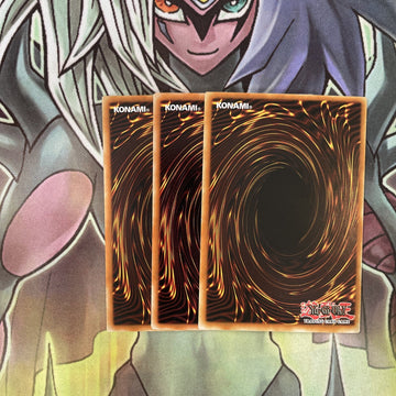 DR1-EN224 x3 Outstanding Dog Marron Common Excellent Condition Yugioh (back)