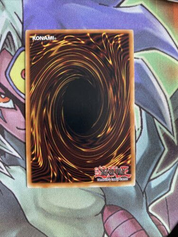 DR1-EN103 Rivalry Of Warlords Common Unlimited Edition NM Yugioh Card (back)