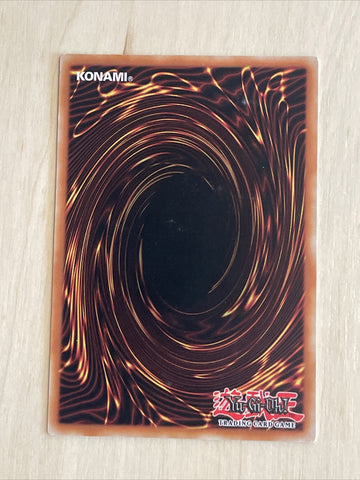 OP12-EN020 BROTHERHOOD OF THE FIRE FIST - HORSE PRINCE COMMON YUGIOH (back)