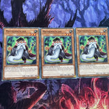 SDSH-EN020 x3 Mathematician | 1st Edition Common Card YuGiOh TCG Shaddll