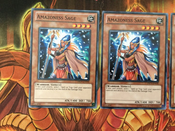 DREV-EN030 Yugioh 3x Amazoness Sage Mixed Sets (NM) (back)