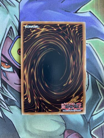 CYAC-EN010 Icejade Ran Aegirine Ultra Rare 1st Edition NM Yugioh Card (back)
