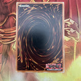 INOV-EN096 Paleozoic Dinomischus Mixed Edition Yugioh