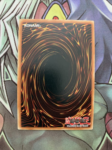 MAGO-EN053 Foolish Burial Gold Rare 1st Edition NM Yugioh Card (back)