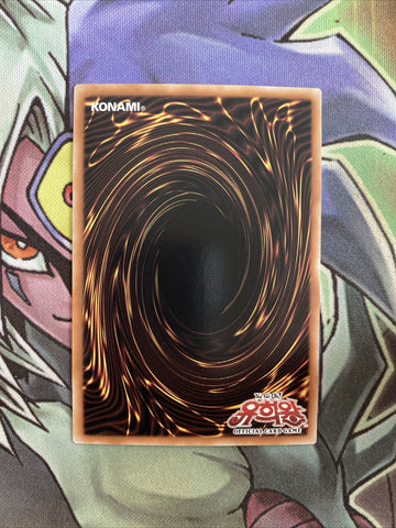 MB01-KR002 Ties Of The Brethren 1st Edition NM Yugioh Card (back)