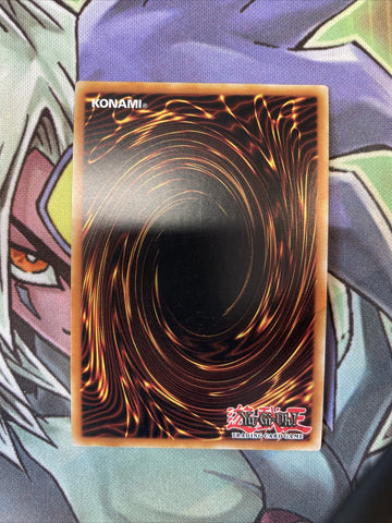 CYHO-EN089 Sacred Noble Knight Of King Gustennin Ultra 1st Edition NM Yugioh (back)
