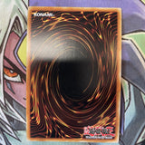 CYHO-EN089 Sacred Noble Knight Of King Gustennin Ultra 1st Edition NM Yugioh