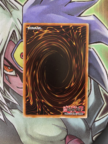 SDZW-EN028 Field Barrier Common 1st Edition Near Mint YuGiOh Card (back)