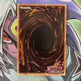 SDZW-EN028 Field Barrier Common 1st Edition Near Mint YuGiOh Card