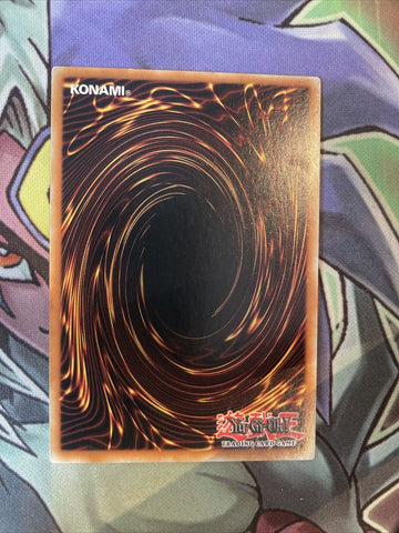 MP23-EN265 Water Enchantress Of The Temple Secret 1st Edition NM Yugioh Card (back)