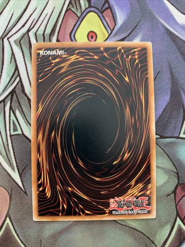 HA03-EN042 Naturia Horneedle Super Rare 1st Edition NM Yugioh Card (back)