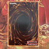 SDGU-EN027 YuGiOh Allure of Darkness - Common - 1st Edition
