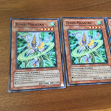 SOVR-EN029 3 x  Tuned Magician Common Yugioh Card