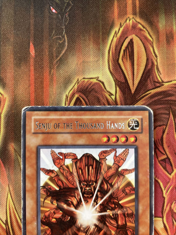 MRL-E080 YUGIOH SENJU OF THE THOUSAND HANDS RARE unl EDITION PLAYED CONDITION (back)