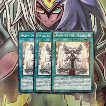 AP07-EN022 x3 Dawn of the Herald Common Excellent Condition Yugioh