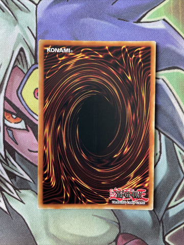 SPWA-EN005 Secret Six Samurai - Kizaru Secret Rare 1st Edition NM Yugioh Card (back)