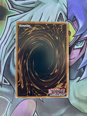 MP19-EN084 Impcantation Talismandra Super Rare 1st Edition NM Yugioh Card (back)