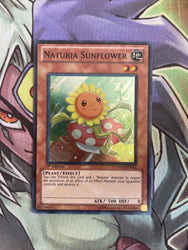 Smirking Gnome