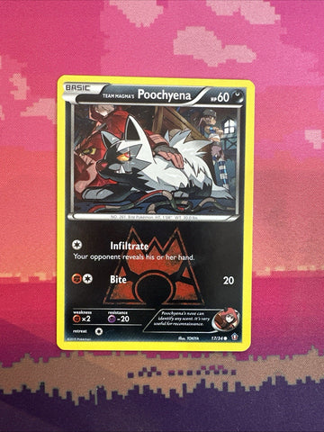 Pokemon Card Team Magma's Poochyena Double Crisis Common 17/34  Near Mint