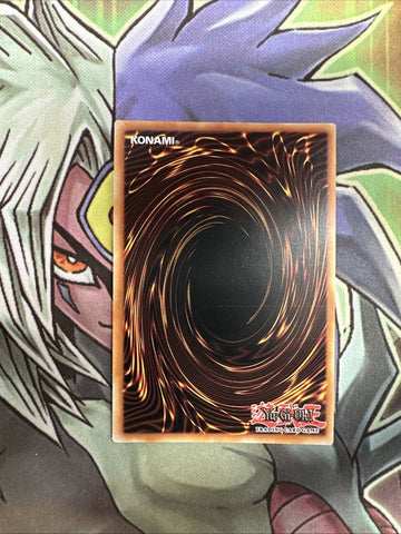DUSA-EN043 Blue-Eyes White Dragon Ultra Rare 1st Edition NM Yugioh Card (back)