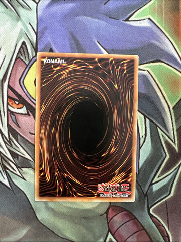 BP03-EN171 Closed Forest Common 1st Edition NM Yugioh Card (back)