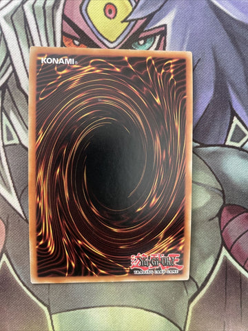 BLLR-EN015 Raidraptor - Final Fortress Falcon Ultra 1st Edition NM Yugioh Card (back)