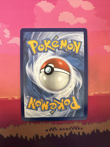 Pokemon Card Miraidon 013 Black Star Promo Near Mint (back)
