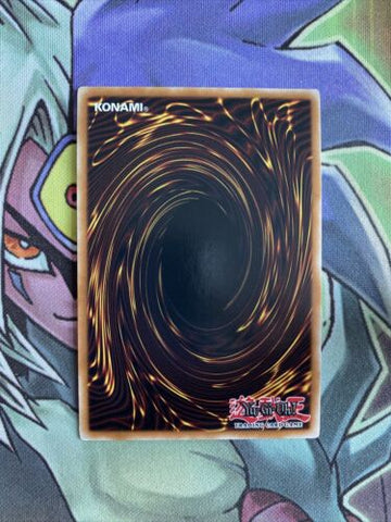 CT08-EN008 Pot Of Duality Super Rare Limited Edition NM Yugioh Card (back)