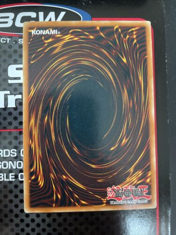 CP01-EN014 Yugioh - King Tiger Wanghu Common (back)