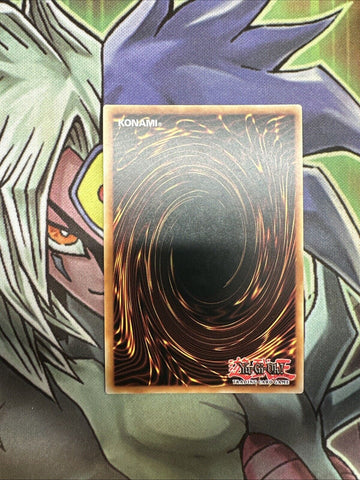 DUSA-EN054 Dark Magician Of Chaos Ultra Rare 1st Edition NM Yugioh Card (back)