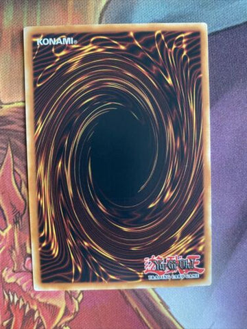 DPRP-EN026 Blue-Eyes Shining Dragon Common 1st Edition NM Yugioh Card (back)