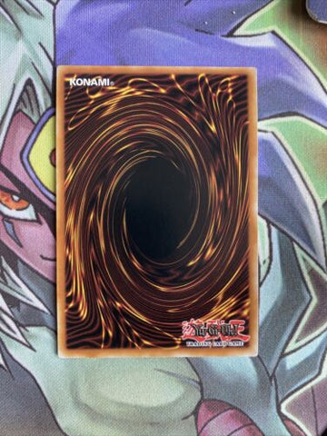 CT13-EN008 Blue-Eyes White Dragon Ultra Rare 1st Edition NM Yugioh Card (back)