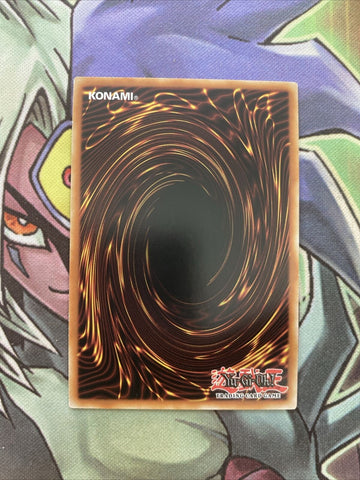 BLHR-EN059 Vision HERO Vyon Secret Rare 1st Edition NM Yugioh Card (back)