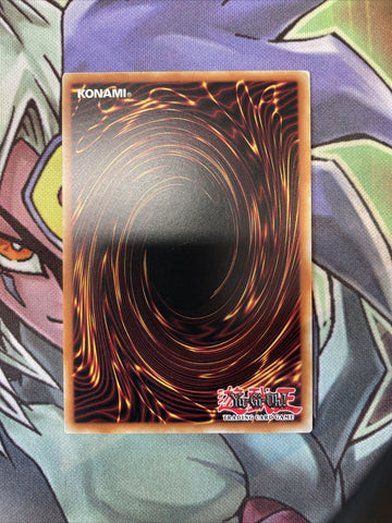 COTD-EN040 D/D/D Gust High King Alexander Rare 1st Edition NM Yugioh Card (back)
