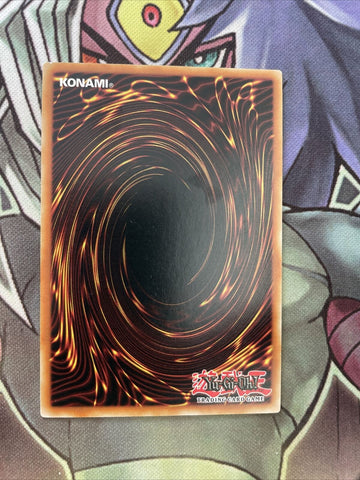 DPBC-EN024 Time Wizard Common 1st Edition NM Yugioh Card (back)